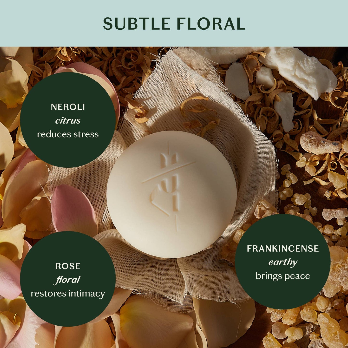 The Body Stone | Deep Moisturizing Lotion Bar