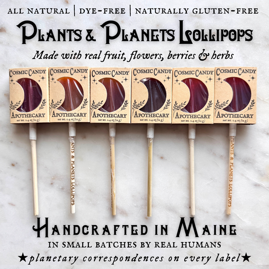 Plants & Planets Lollipops - Winter Collection Assortment