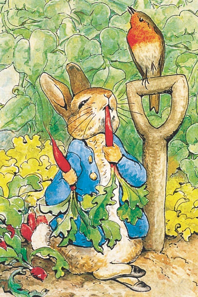 Peter Rabbit Mini - 20 Piece Mini Puzzle