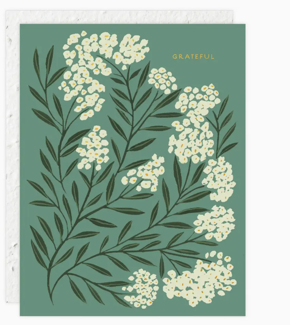 Thank You Cards | Seedlings