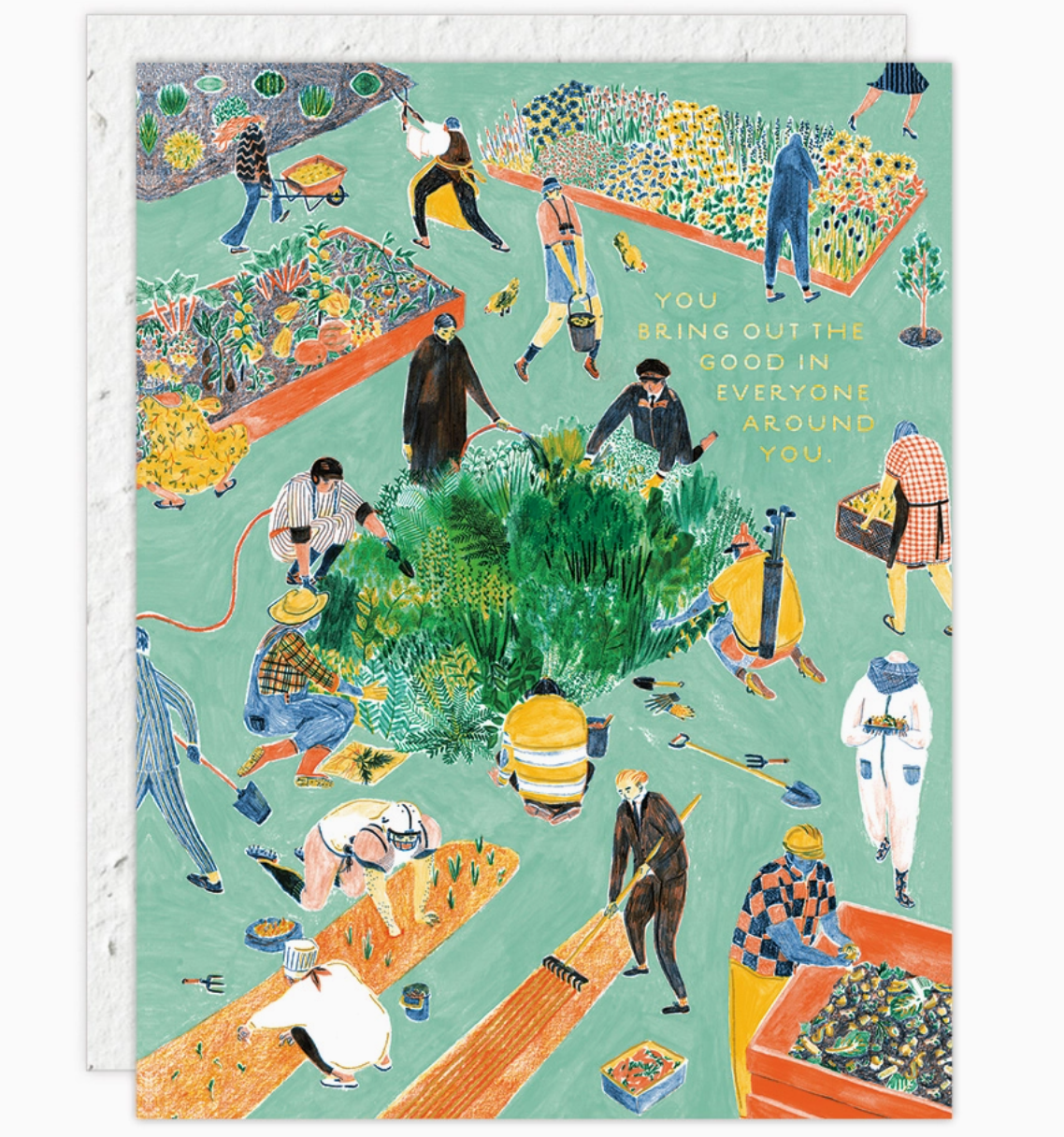 Love + Friendship Cards | Seedlings