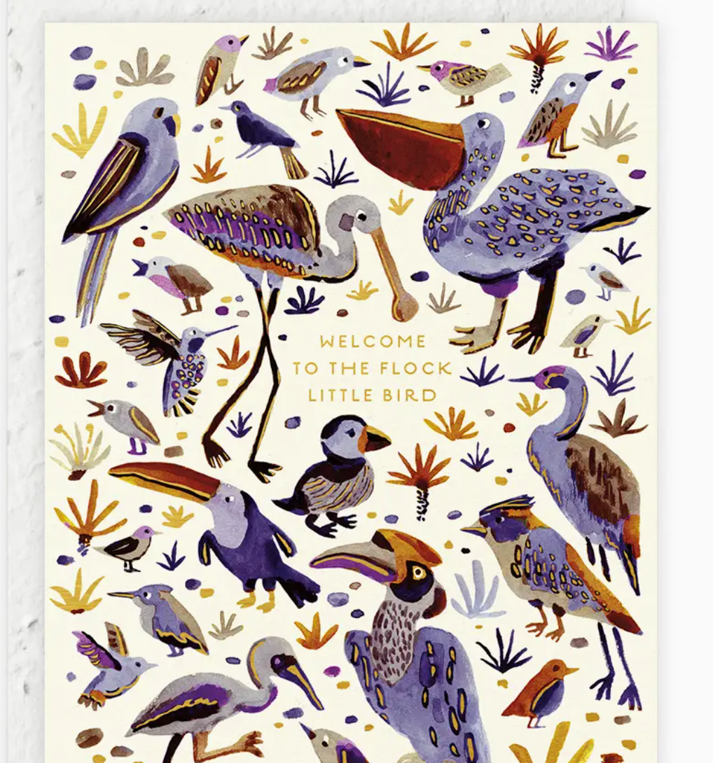 Baby Cards | Seedlings