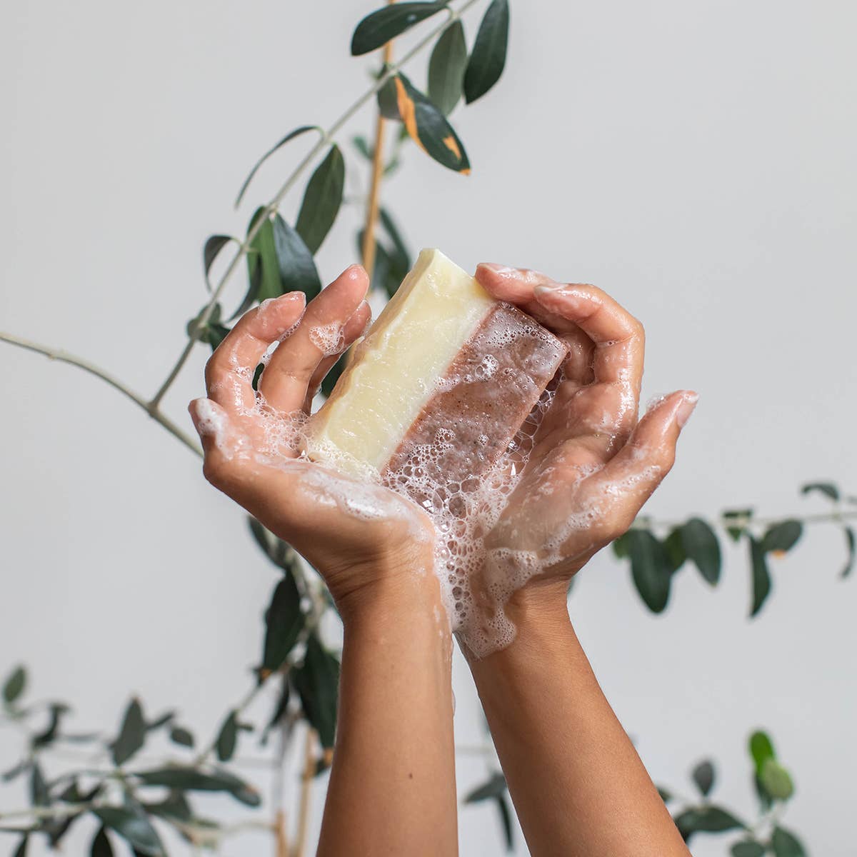 Facial Soap | Meow Meow Tweet