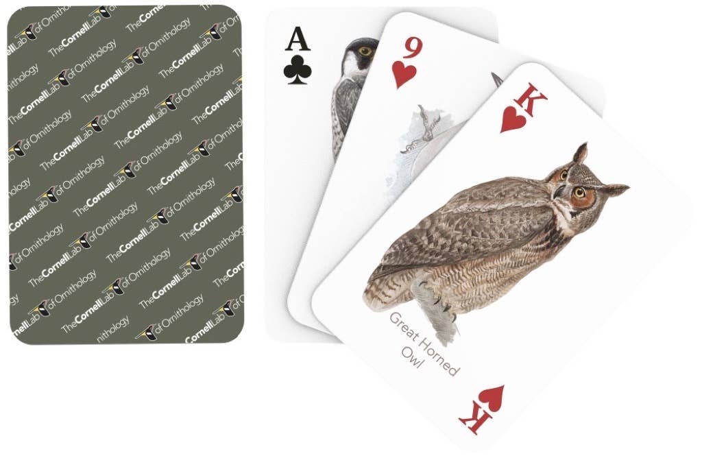 Birds ofNorth America Playing Cards