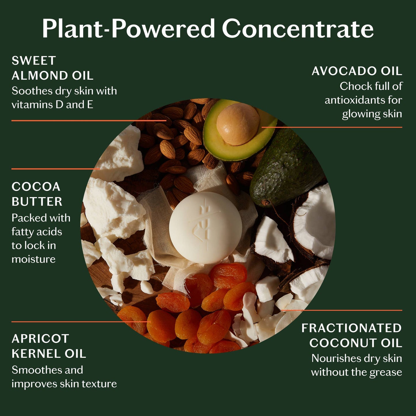 The Body Stone | Deep Moisturizing Lotion Bar