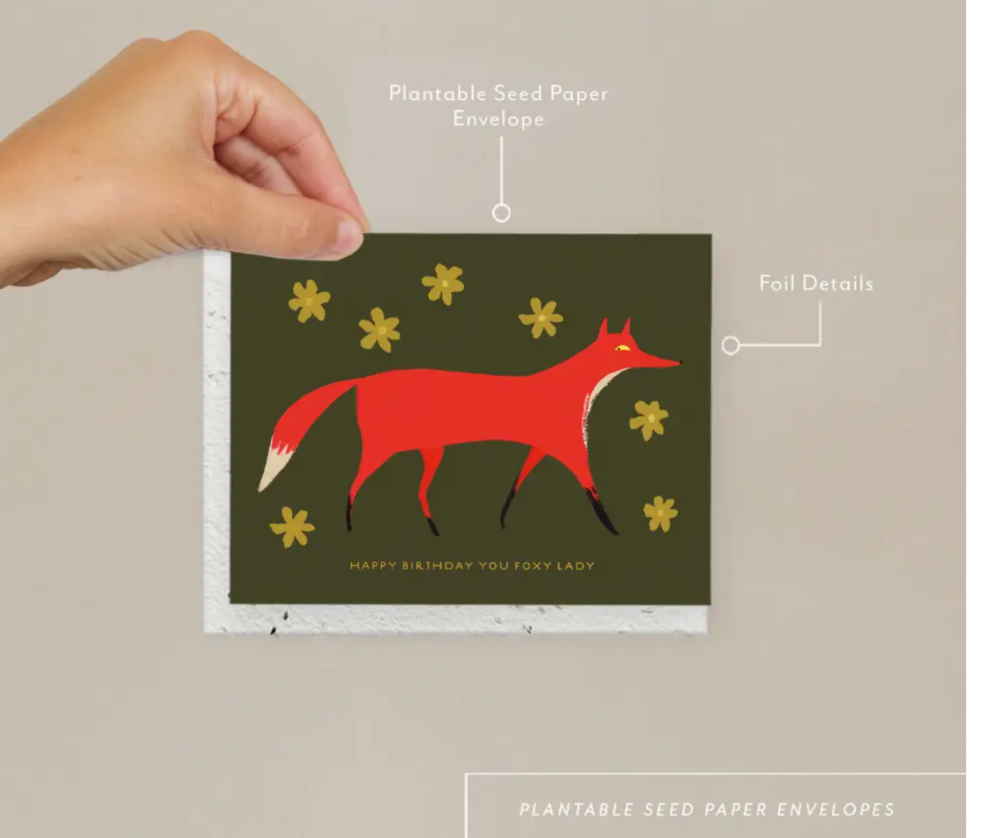 Birthday Cards | Seedlings