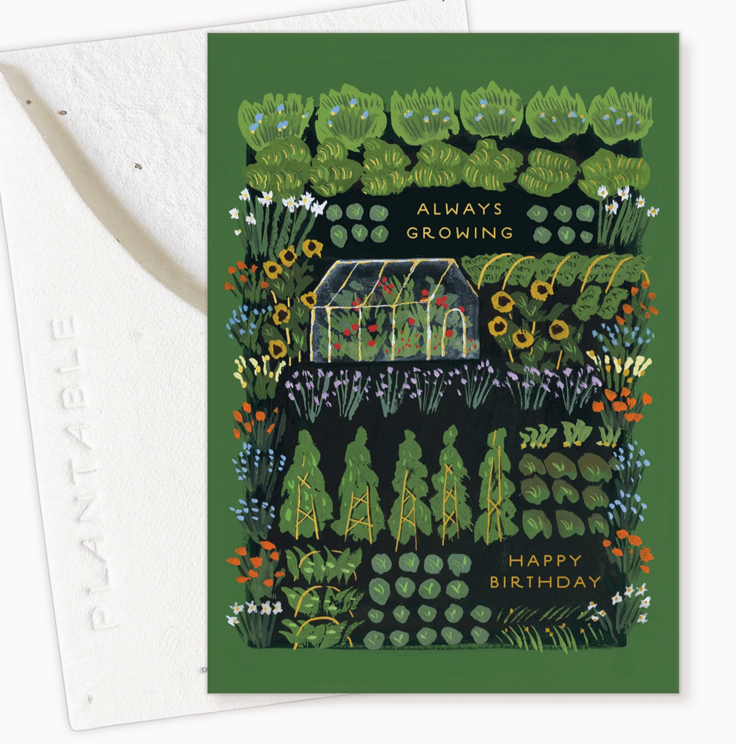 Mini Greeting Cards | Seedlings