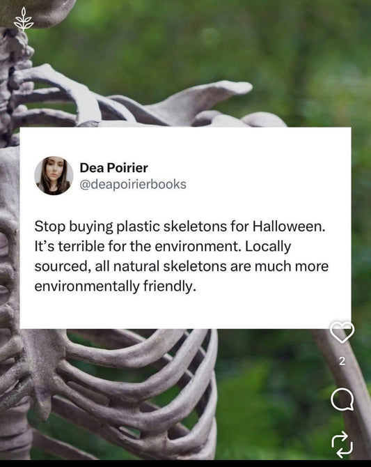 Eco Friendly Halloween....2026 Edition