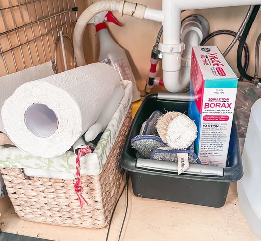 Sustainable Living Tips: What's Under the Kitchen Sink?
