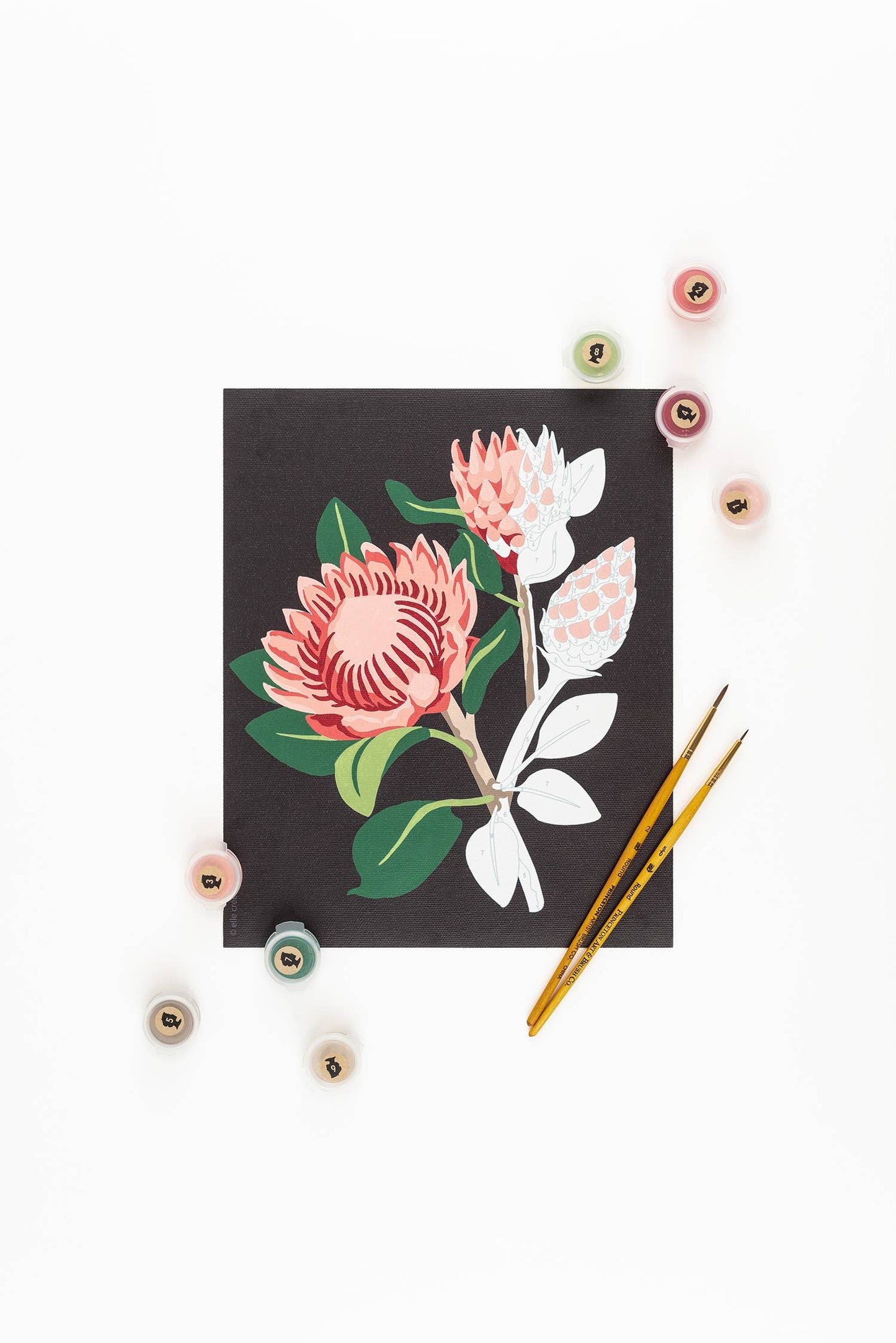 King Protea Blooms Paint-by-Number Kit