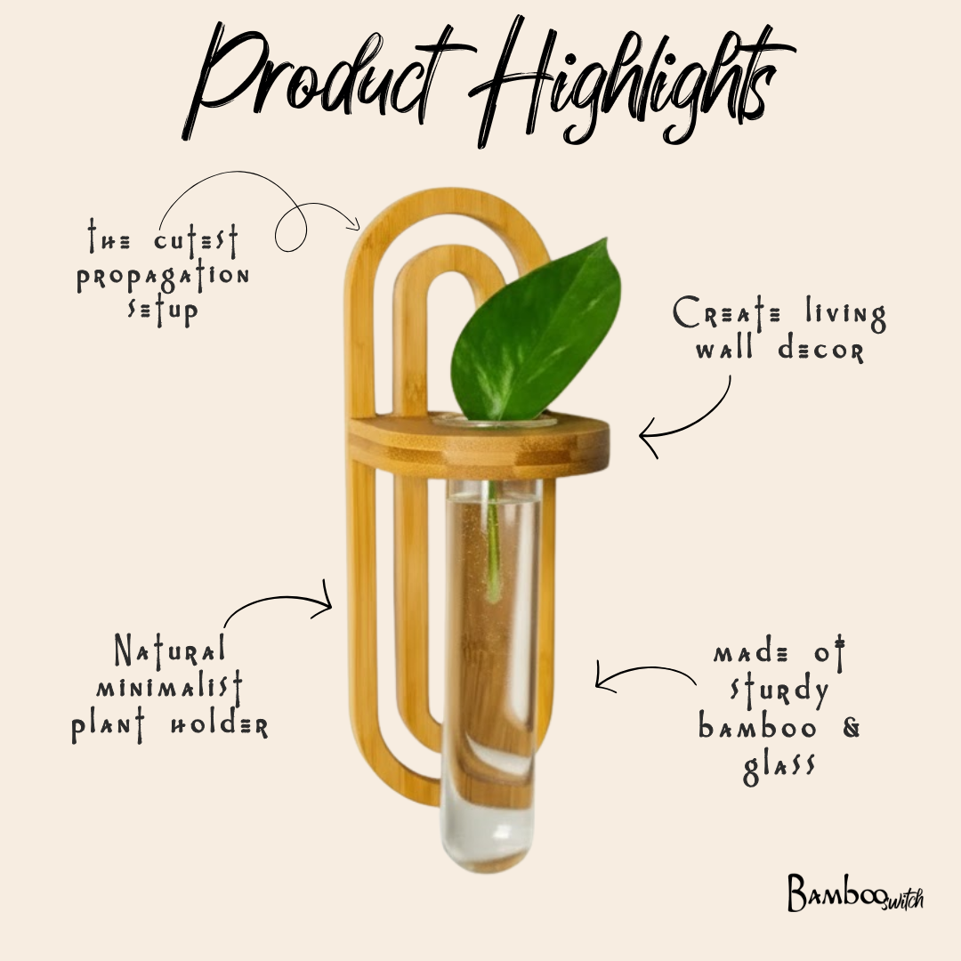 Propagation Wall Hanger