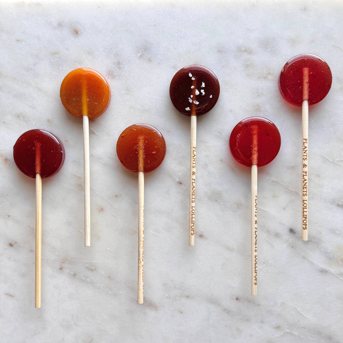 Plants & Planets Lollipops - Winter Collection Assortment
