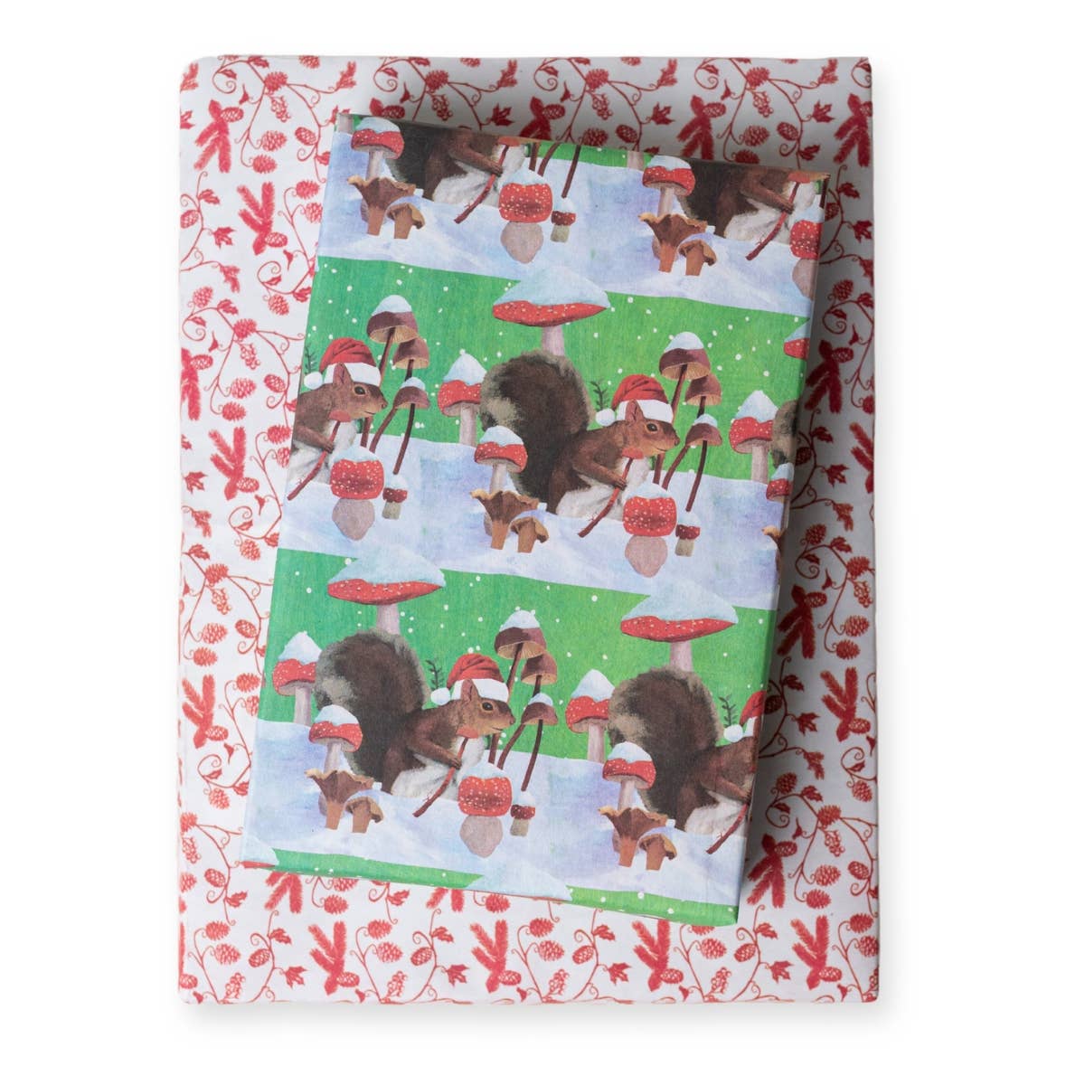 Squirrel + Mushrooms • Double-Sided Eco Wrapping Paper