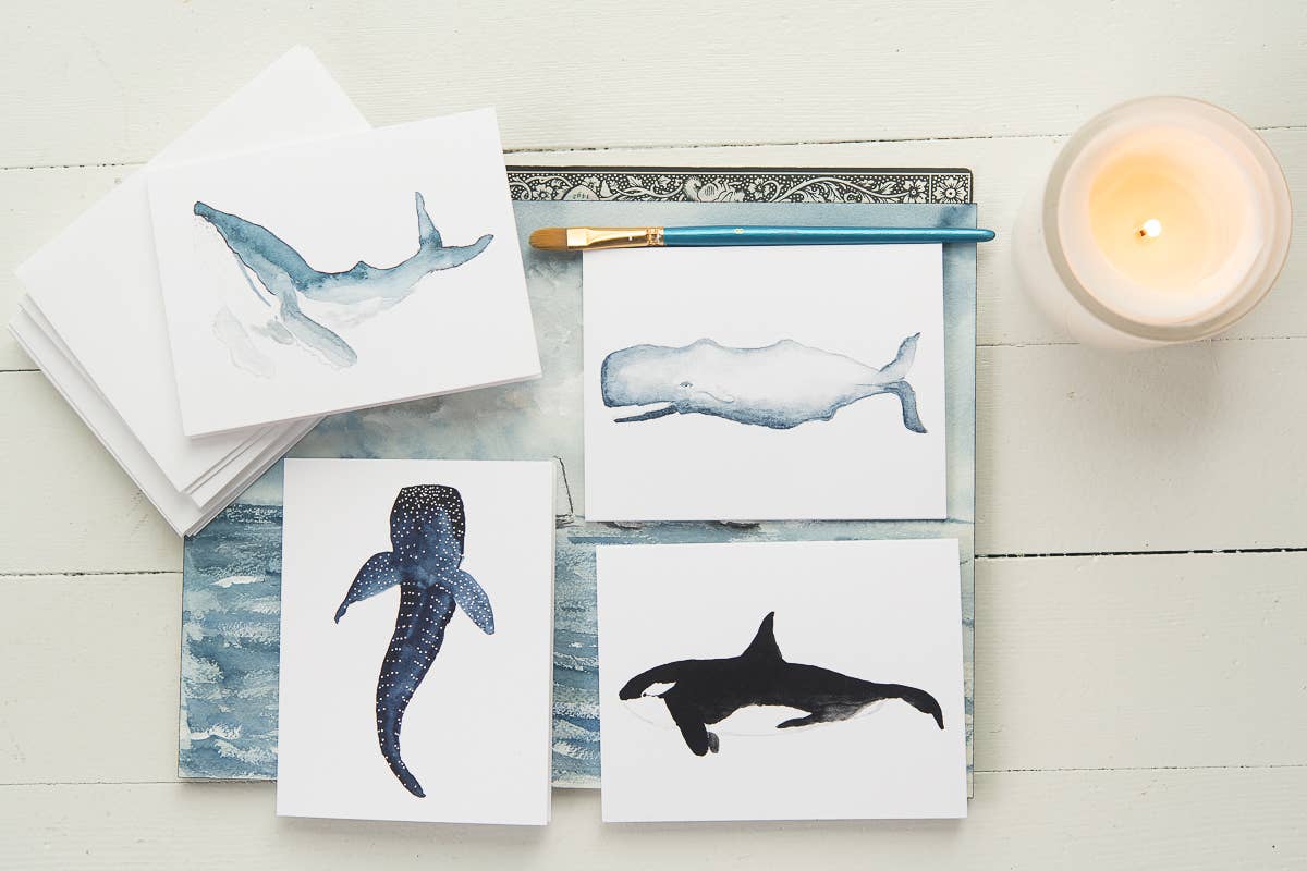 Watercolor Sperm Whale Note Cards (Boxed Set)