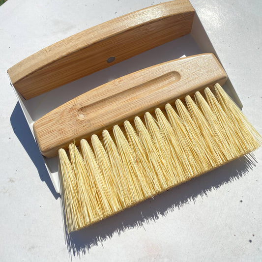 Mini Dust Pan & Brush