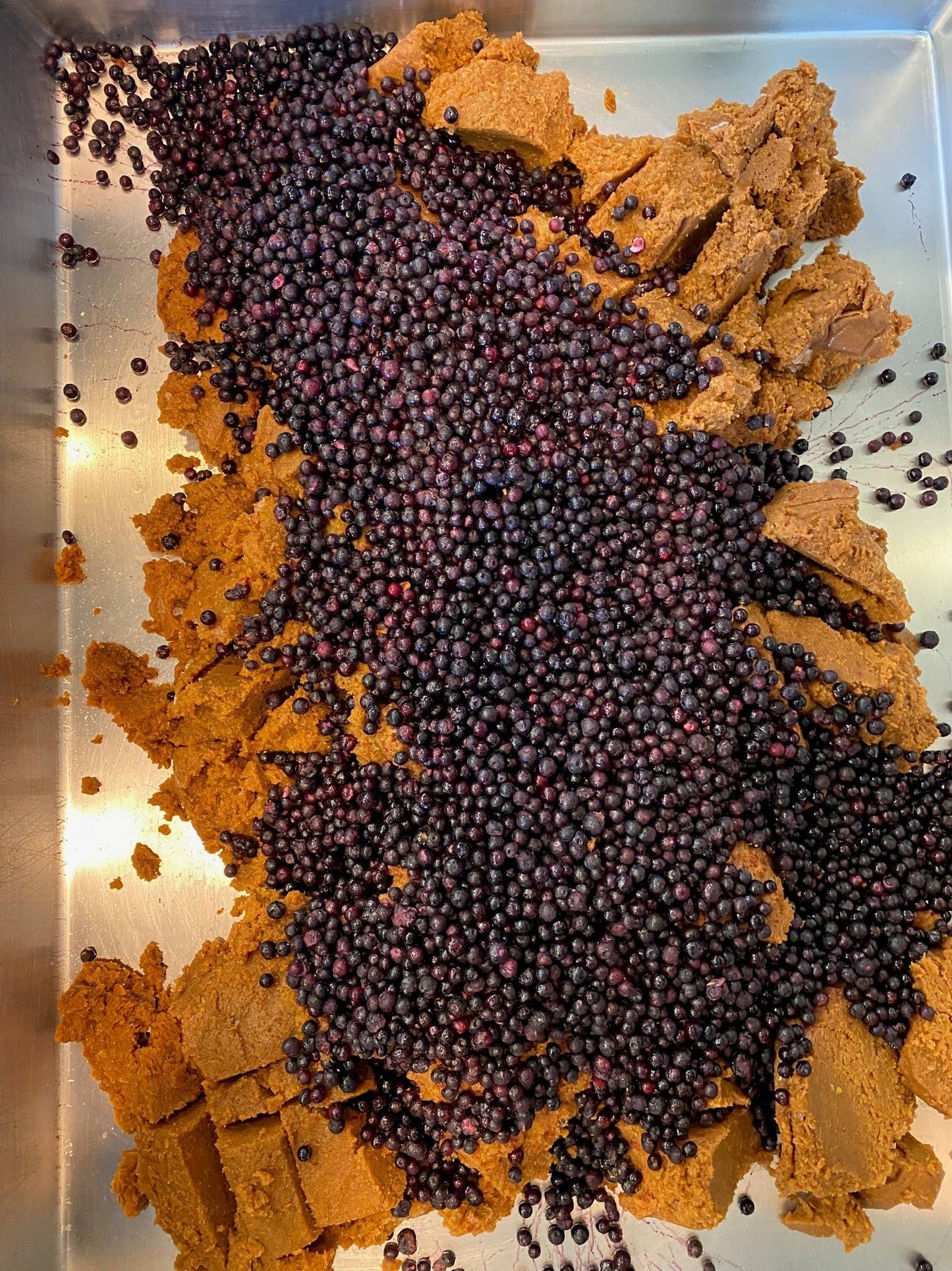 Harvest Maine Fruit Bite Pummies *NEW*