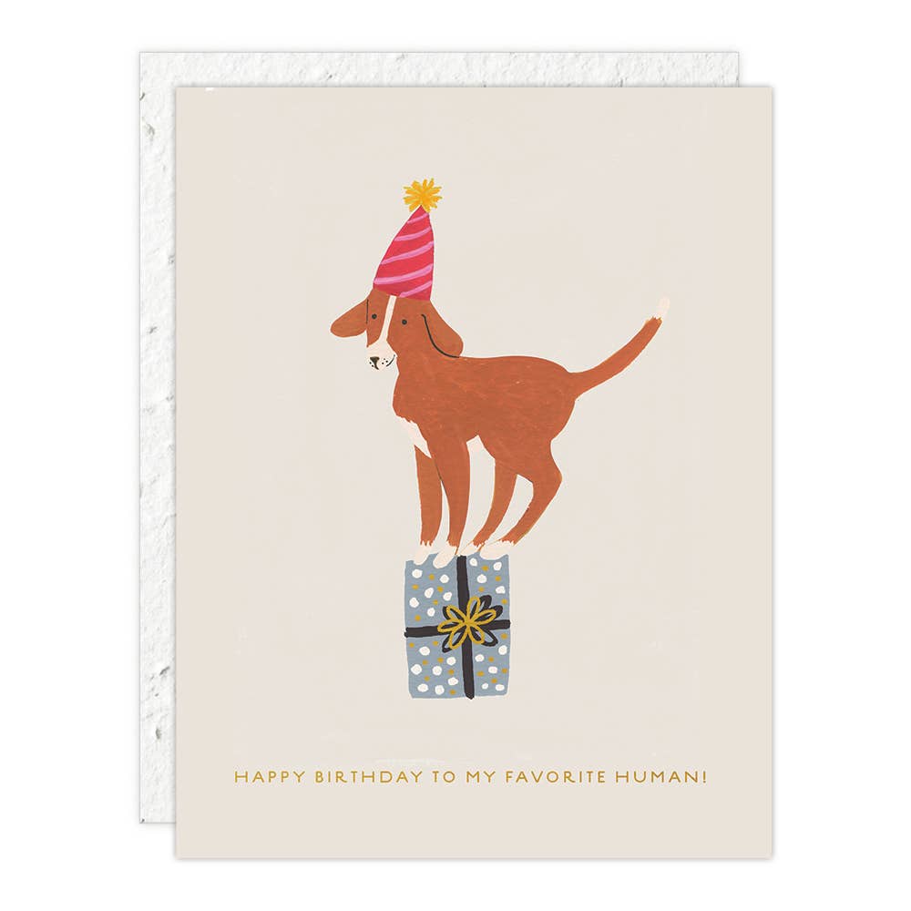 Birthday Cards | Seedlings