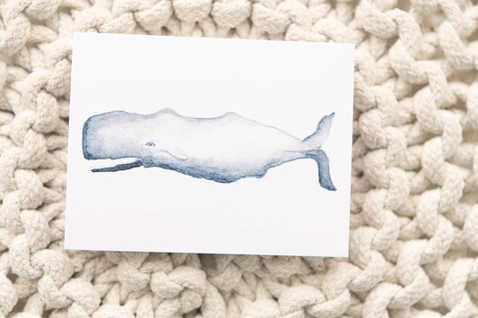 Watercolor Sperm Whale Note Cards (Boxed Set)