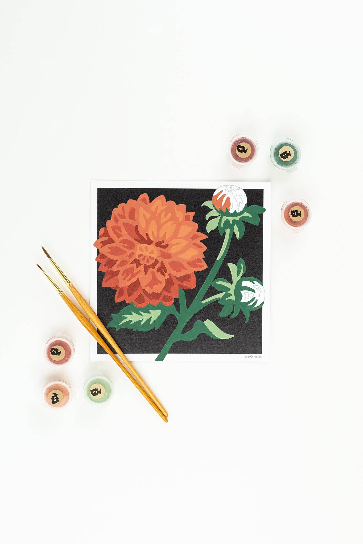 MINI Paint-by-Number Kit, Dahlias