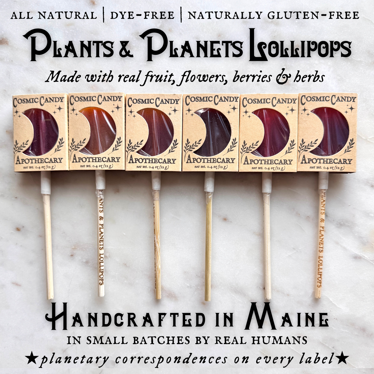 Plants & Planets Lollipops - Winter Collection Assortment