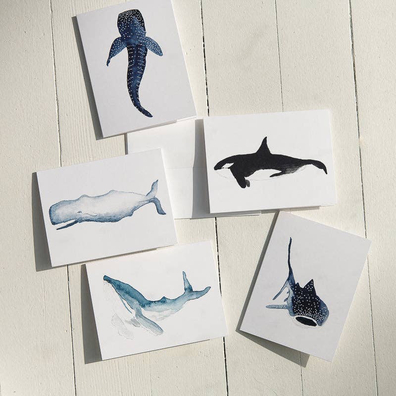 Watercolor Sperm Whale Note Cards (Boxed Set)