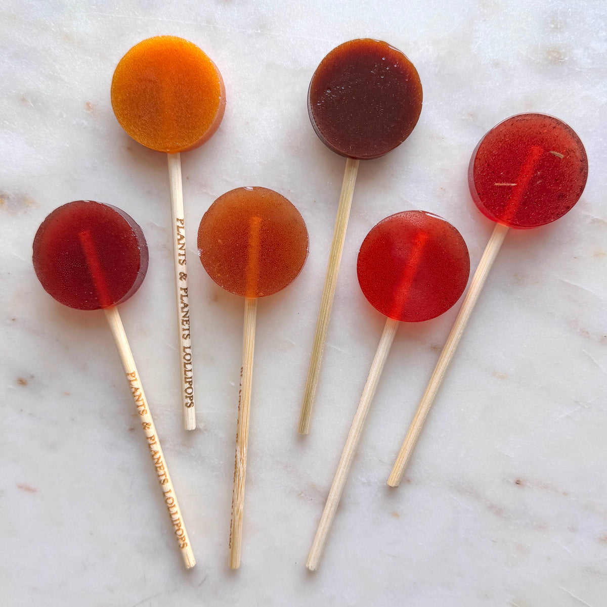 Plants & Planets Lollipops - Winter Collection Assortment