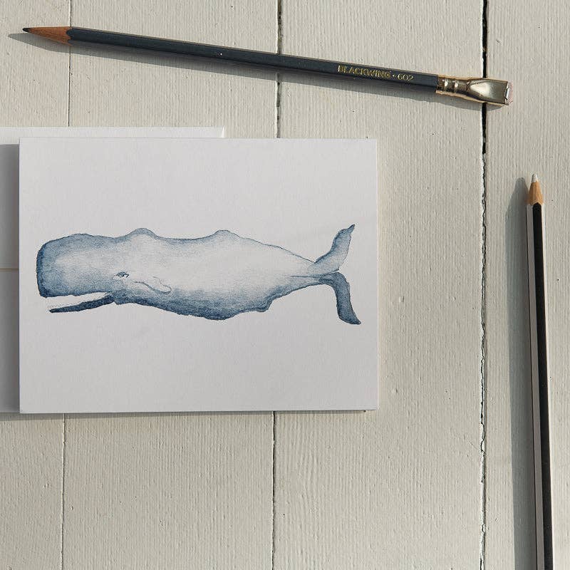 Watercolor Sperm Whale Note Cards (Boxed Set)