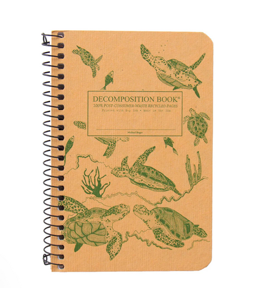 Sea Turtles Pocket Sized Decomposition Book