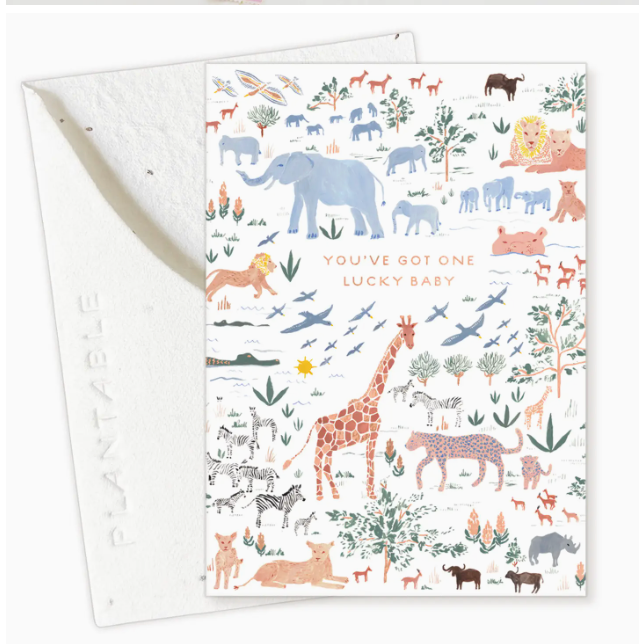 Mini Greeting Cards | Seedlings