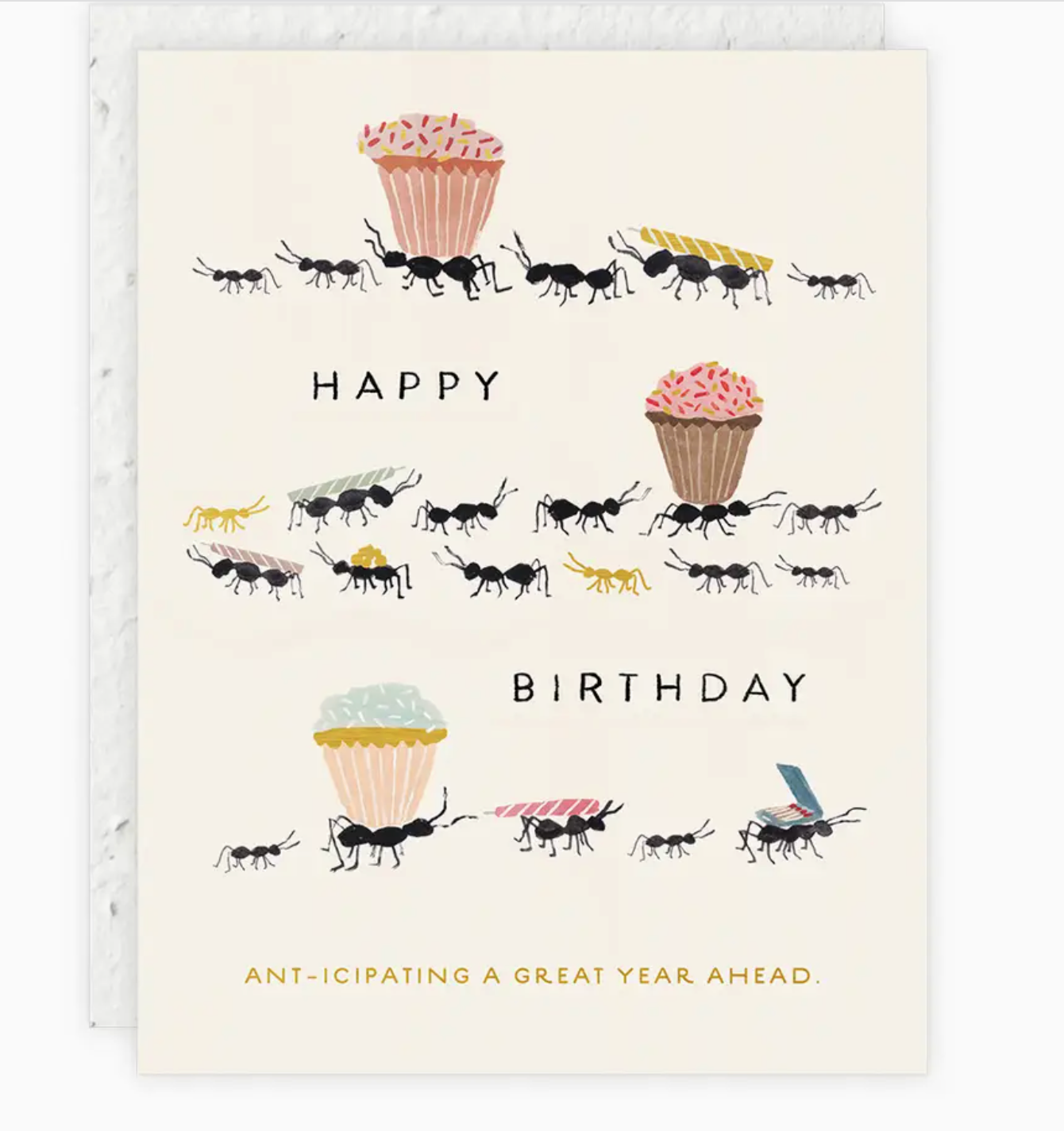 Birthday Cards | Seedlings