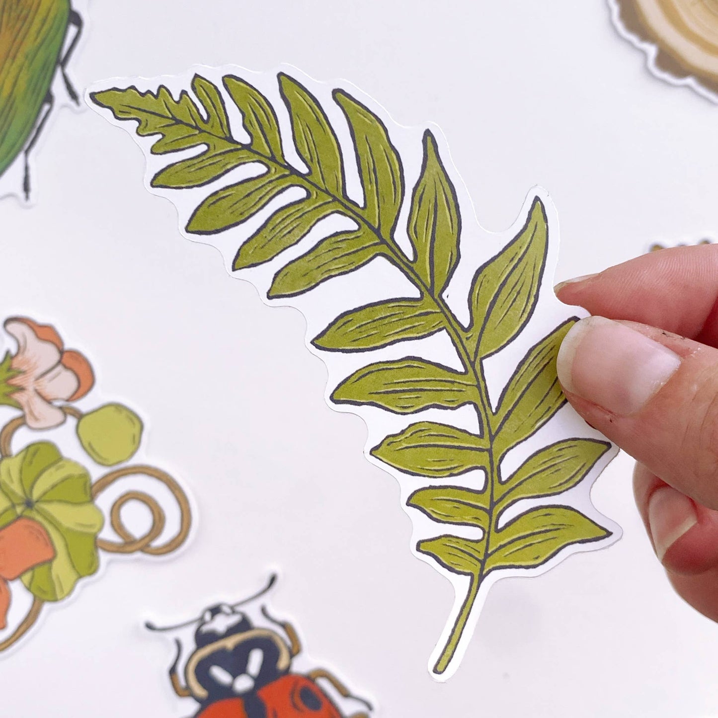 Fern Leaf Paper Sticker