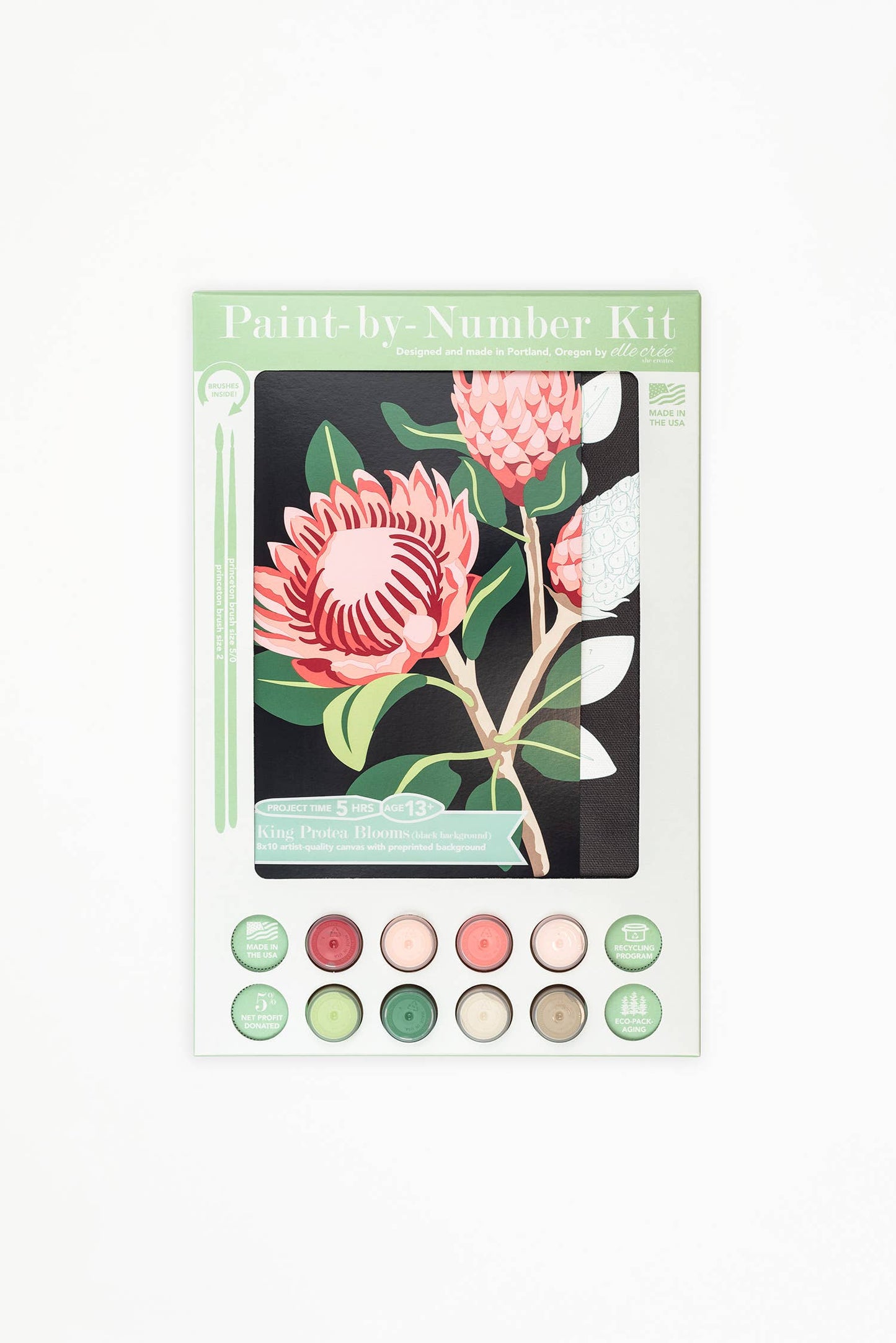 King Protea Blooms Paint-by-Number Kit