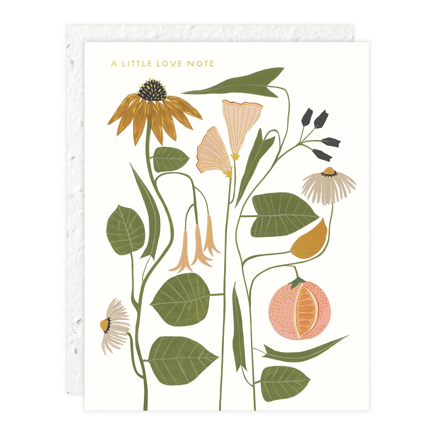 Love + Friendship Cards | Seedlings
