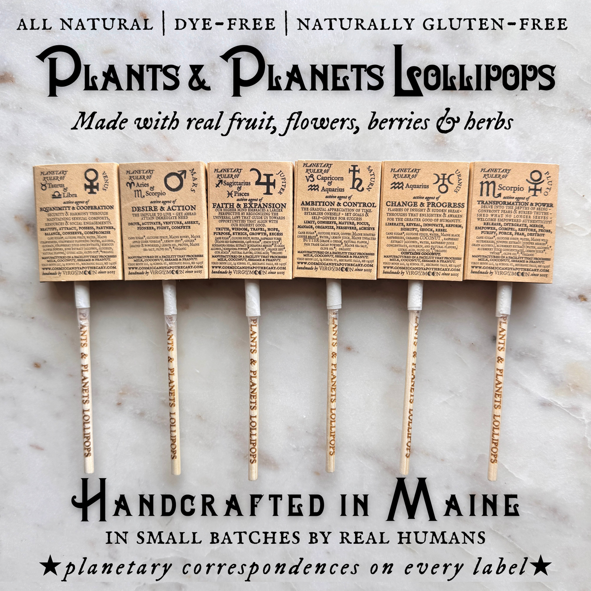 Plants & Planets Lollipops - Winter Collection Assortment