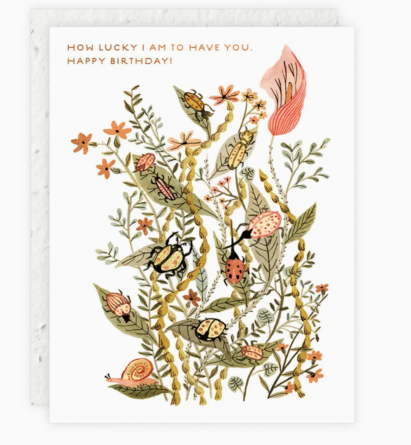 Birthday Cards | Seedlings