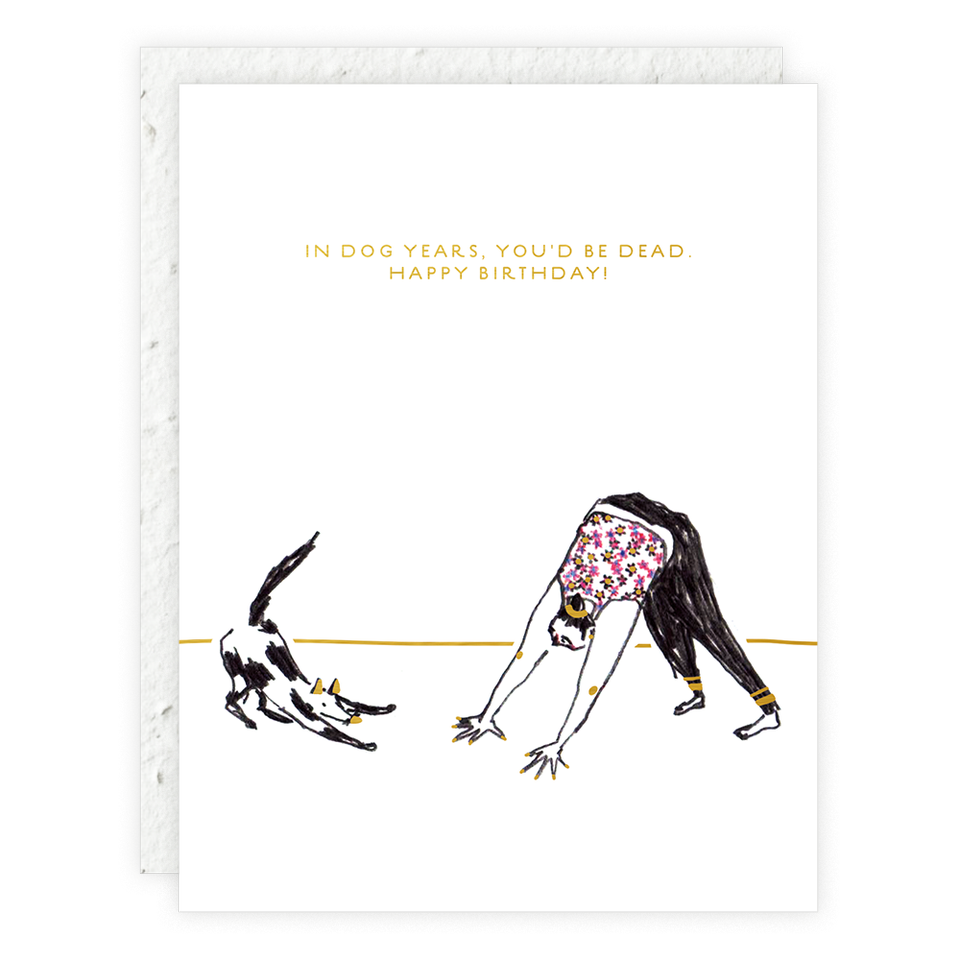 A greeting card with an illustration of a person bending over to pick up a cat, with the text 'In dog years, you'd be dead. Happy birthday!' and 'plantable seed paper' envelope.